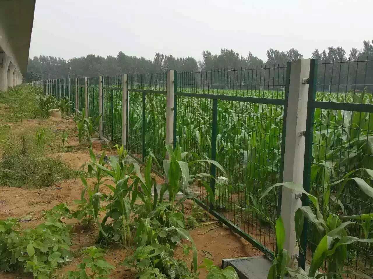 鐵路防護(hù)柵欄圖片1