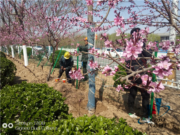 綠色鐵絲網價格